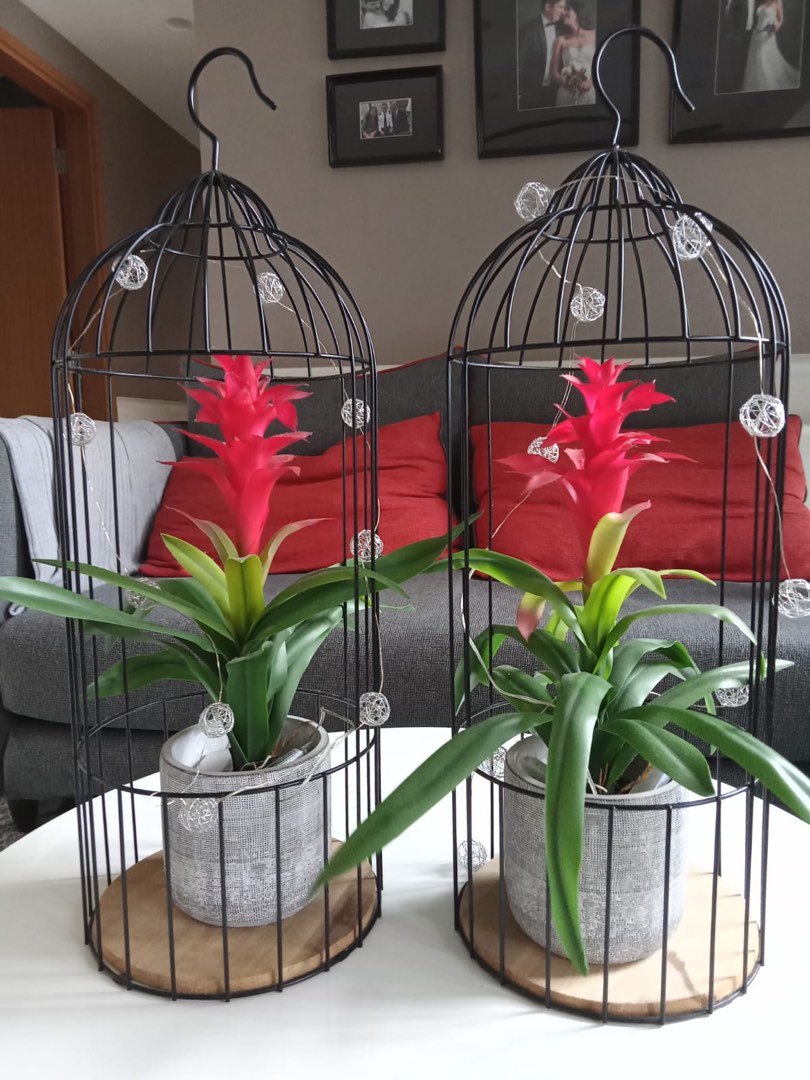 Artificial plants with cages, Furniture & Home Living, Home Decor