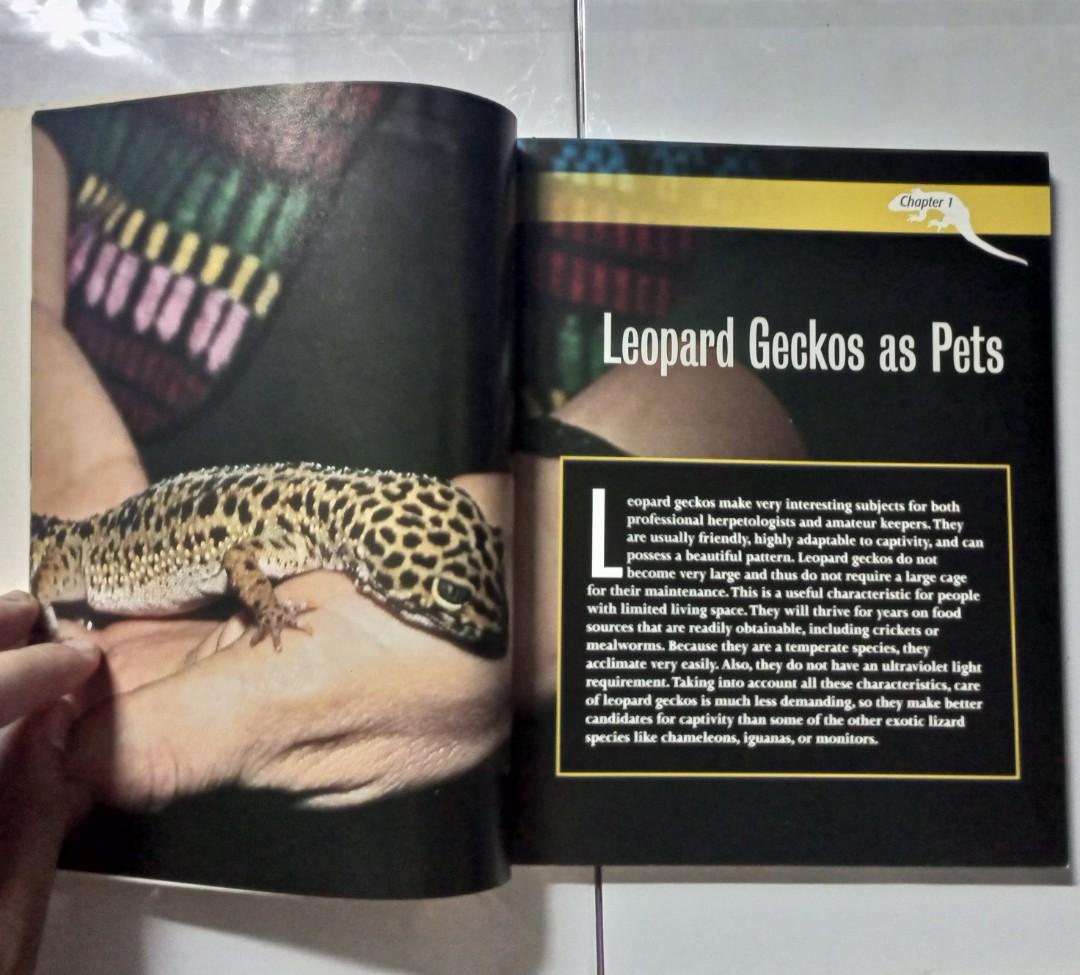 Book About Leopard Geckos, Hobbies & Toys, Books & Magazines, Textbooks