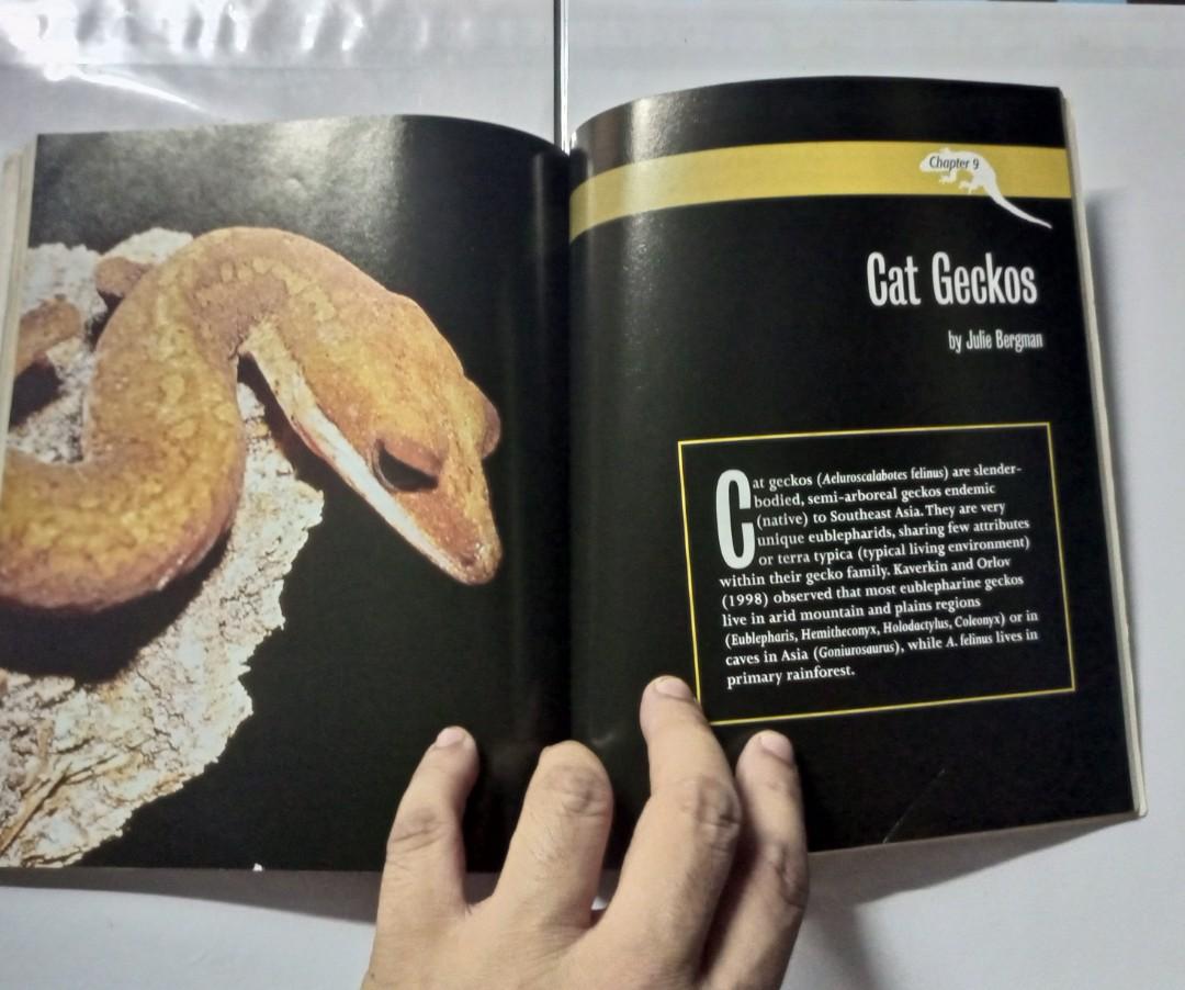 Book About Leopard Geckos, Hobbies & Toys, Books & Magazines, Textbooks