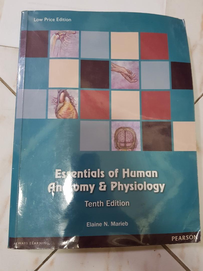 Essentials of Human Anatomy and Physiology 8th Ed., Hobbies & Toys ...