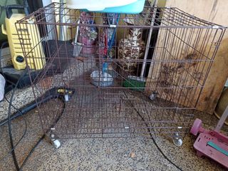 (Category: ) located in . Submitted by azali82 (Listing ID 1181313256, Image 1). Description: .