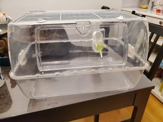 （分類：）位於 。 由 billiemegnum 提交（商品編號 1181471255，圖片 1）。簡介： 。