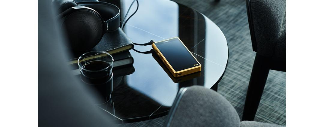 SONY NW-WM1ZM2 256GB 【SALE／102%OFF】