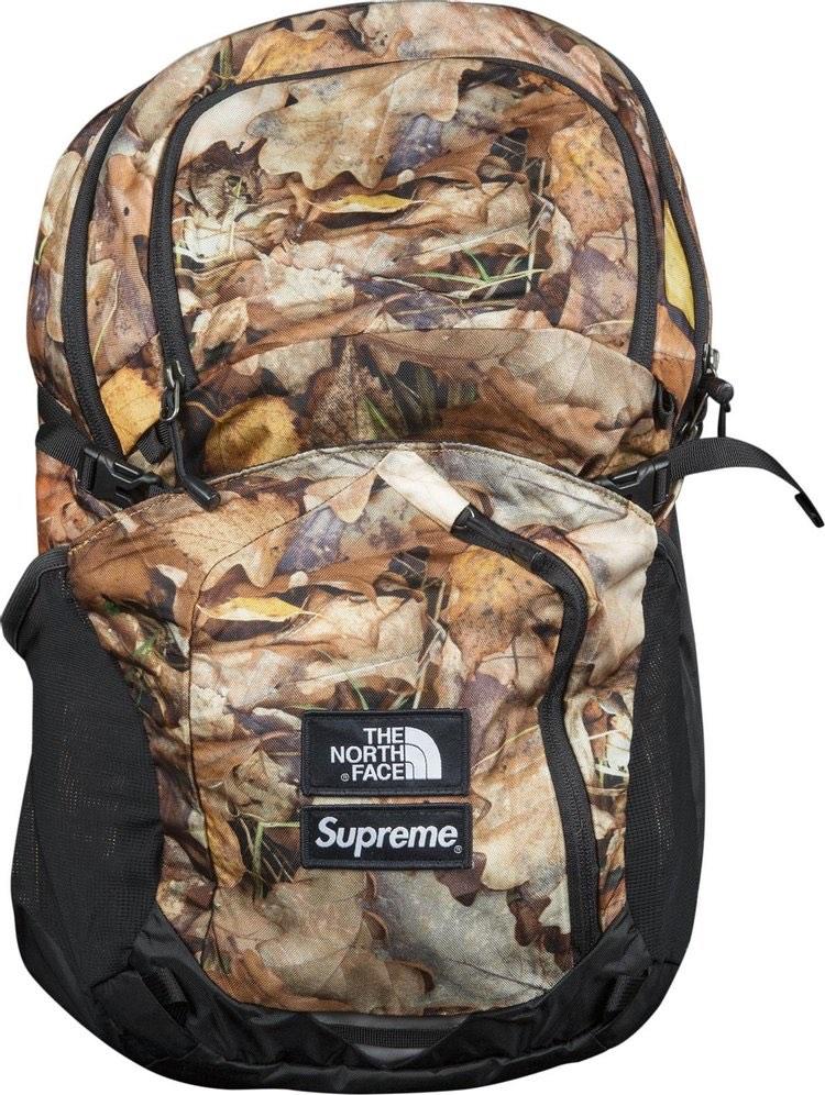 North face online pocono backpack