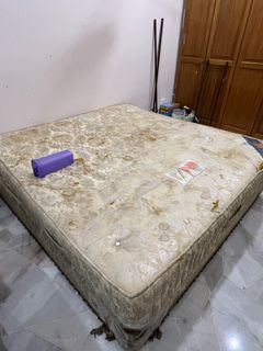 (Category: ) located in . Submitted by reisaichibi (Listing ID 1181344554, Image 1). Description: .