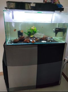 (Category: ) located in . Submitted by elrock (Listing ID 1181581249, Image 1). Description: .