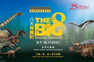 （分類：）位於 。 由 ykcsheep 提交（商品編號 1181538081，圖片 1）。簡介： 。