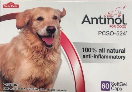 Antinol for Dogs {RESERVED}