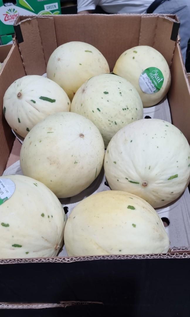 Dino Melon, Food & Drinks, Fresh Produce on Carousell