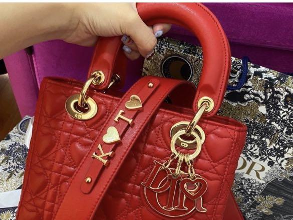 Dior hotsell armour bag
