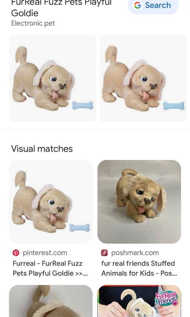 Furreal fuzz best sale pets playful goldie