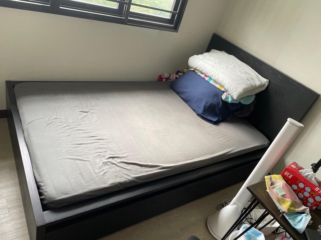 IKEA MALM bed frame (ikea double size/regular queen), Furniture & Home