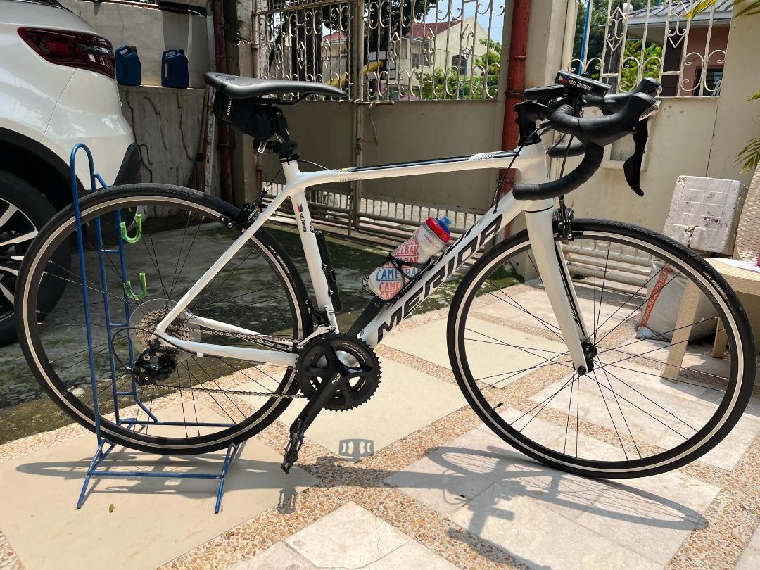 Scultura best sale 400 2019