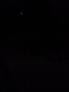 (Category: ) located in . Submitted by wisehawk.2db588 (Listing ID 1181684061, Image 1). Description: .