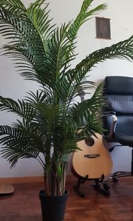 (Category: ) located in . Submitted by agattaarce (Listing ID 1181576098, Image 1). Description: .