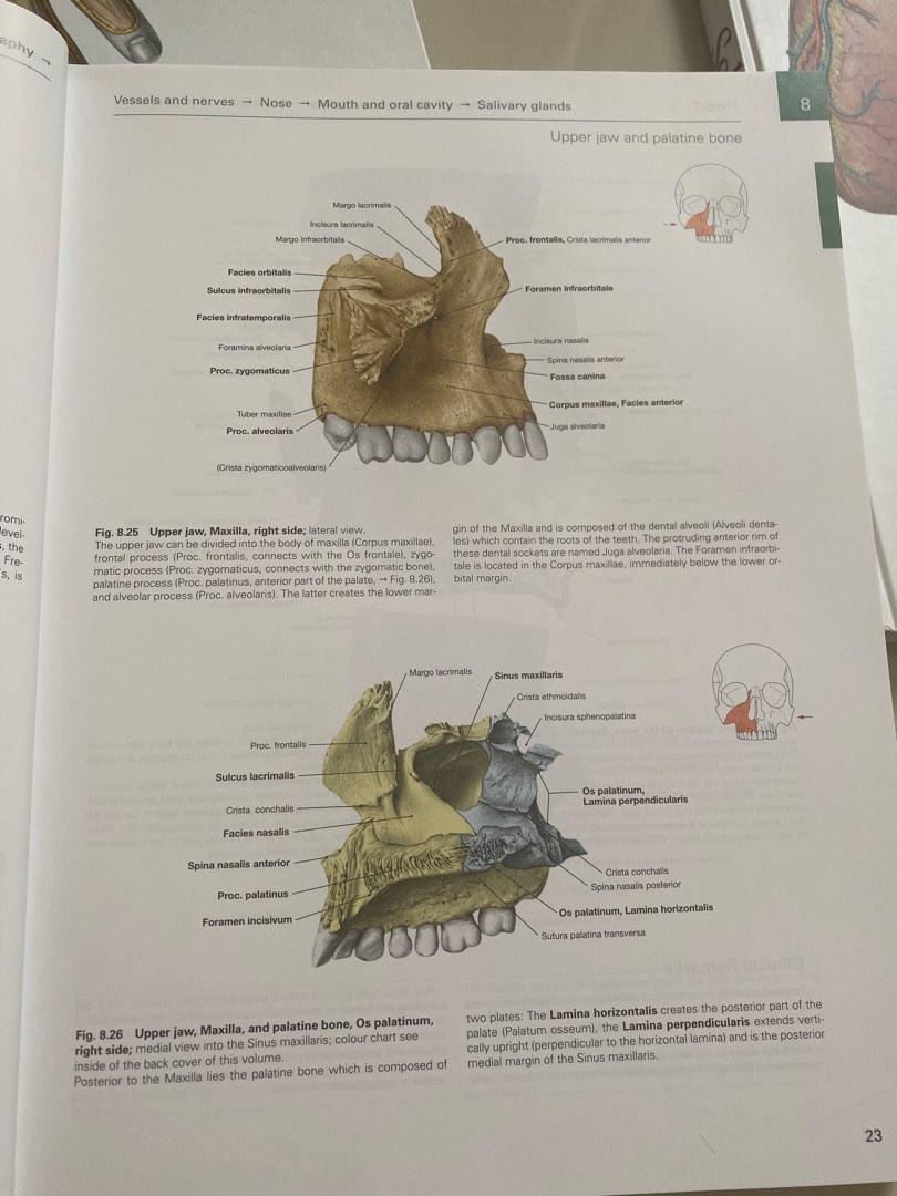 Sobotta Atlas of Human Anatomy (ORIGINAL), Buku & Alat Tulis, Buku di ...