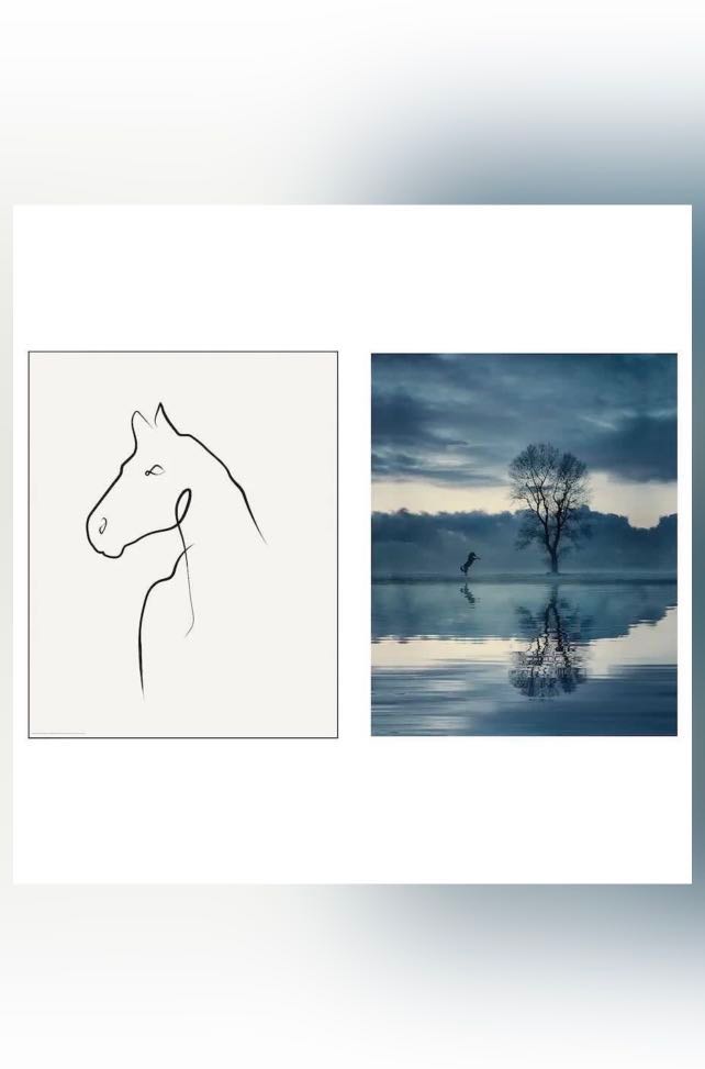 2 IKEA POSTER BILD Poster, Horse drawing 40x50 cm (1 pack SOLD , 1 pack