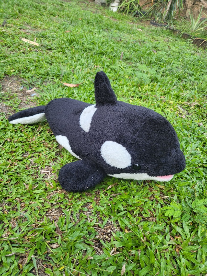 Orca cheap plush seaworld