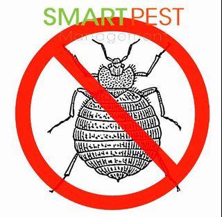 Affordable Bed Bugs  Control & Removal Specialist. “GUARANTEE  BED BUG REMOVAL WITH WARRANTY”. pest management , pest control, inspection, treatment, bedbug, steaming.