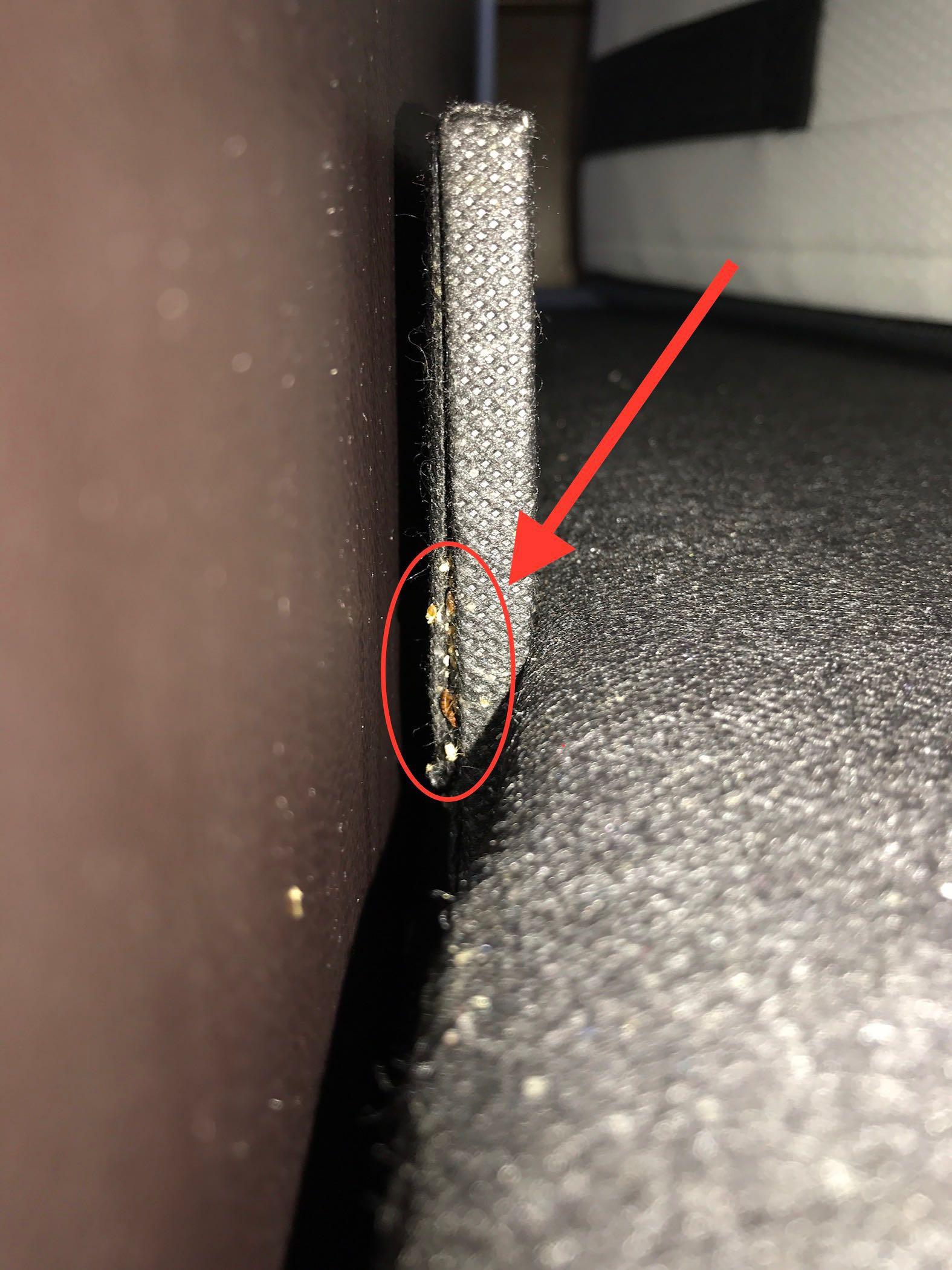 Effective Bed Bug Control Specialist,Affordable Rates, Pest Control