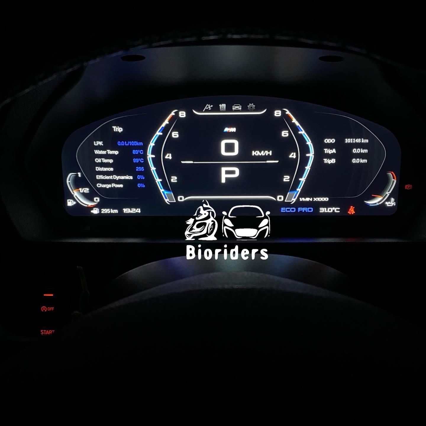 BMW digital speedometer digital cluster digital cockpit X1 F48 F49