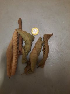 (Category: ) located in . Submitted by sa.tan (Listing ID 1176251719, Image 1). Description: .