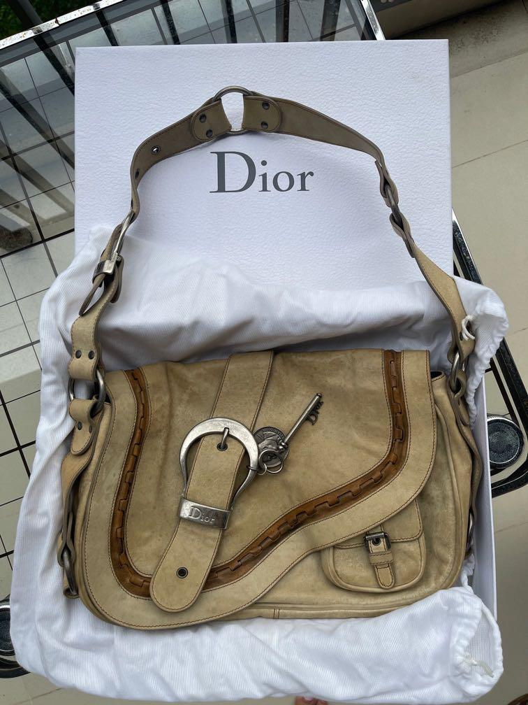Gaucho dior bag online