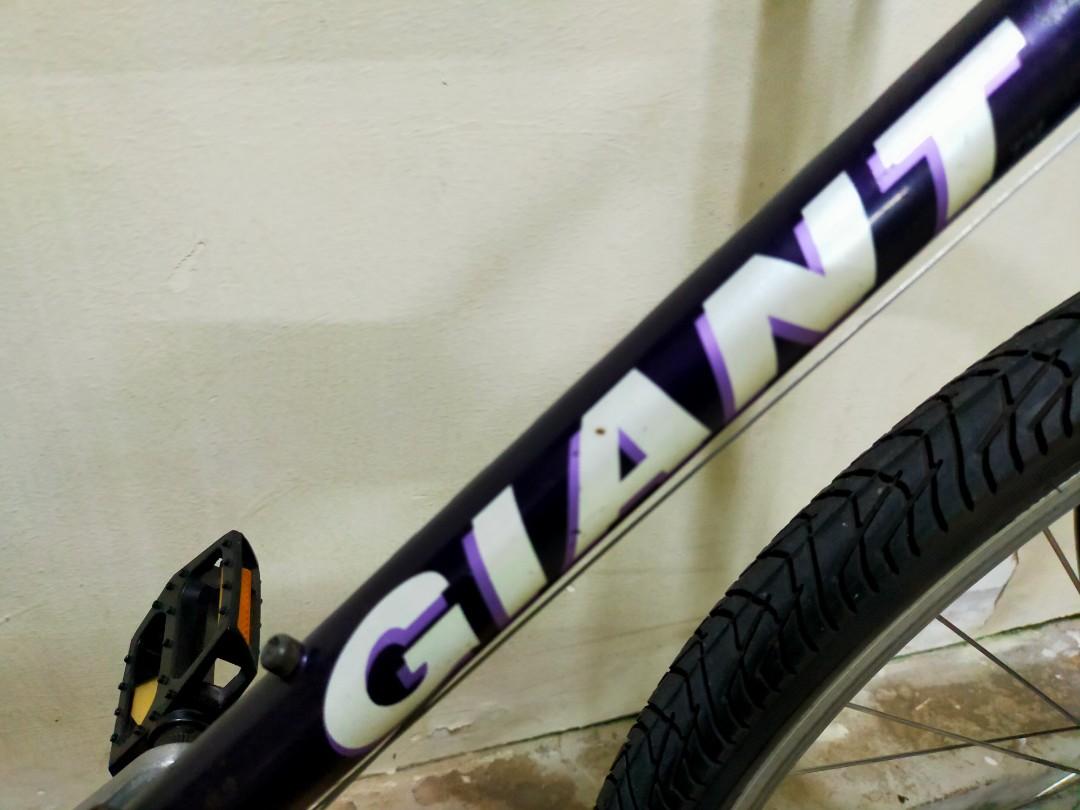 giant butte bike