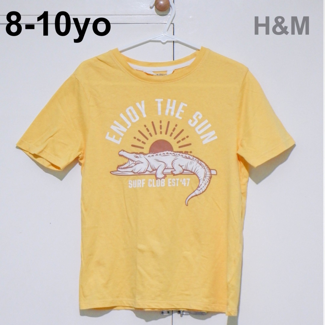 H and m dinosaur sales