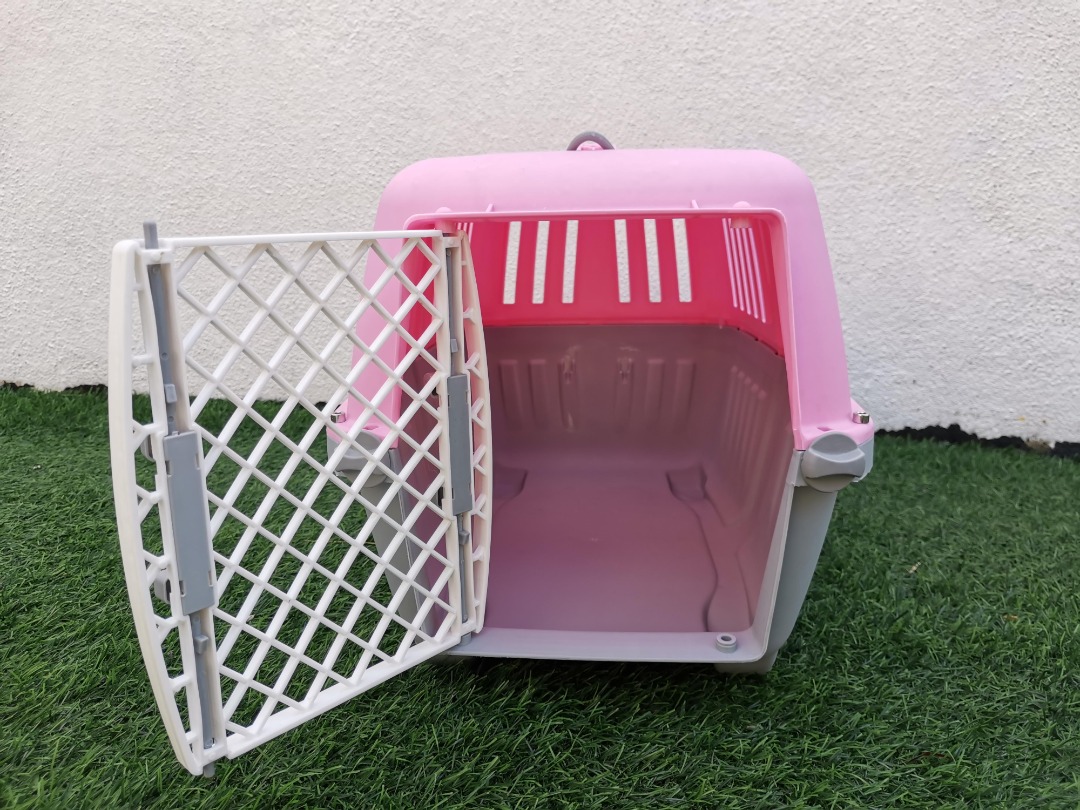 Pet carrier / Bekas kucing, Pet Supplies, Homes & Other Pet Accessories on Carousell