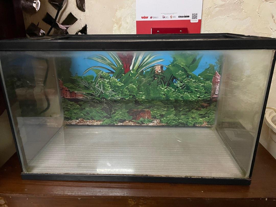 Aquarium akuarium (60 x 35 x 30), Perlengkapan Hewan, Aksesoris Hewan
