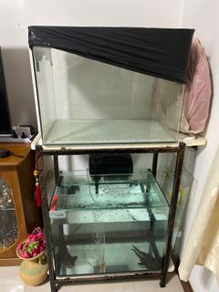 (Category: ) located in . Submitted by angusbeefhouse (Listing ID 1181851749, Image 1). Description: .