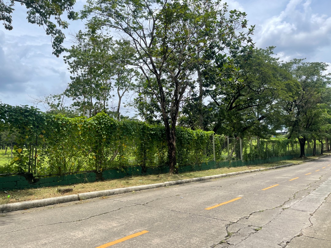 JTO FOR SALE Vacant Lot in Valley Golf Subdivision, Antipolo