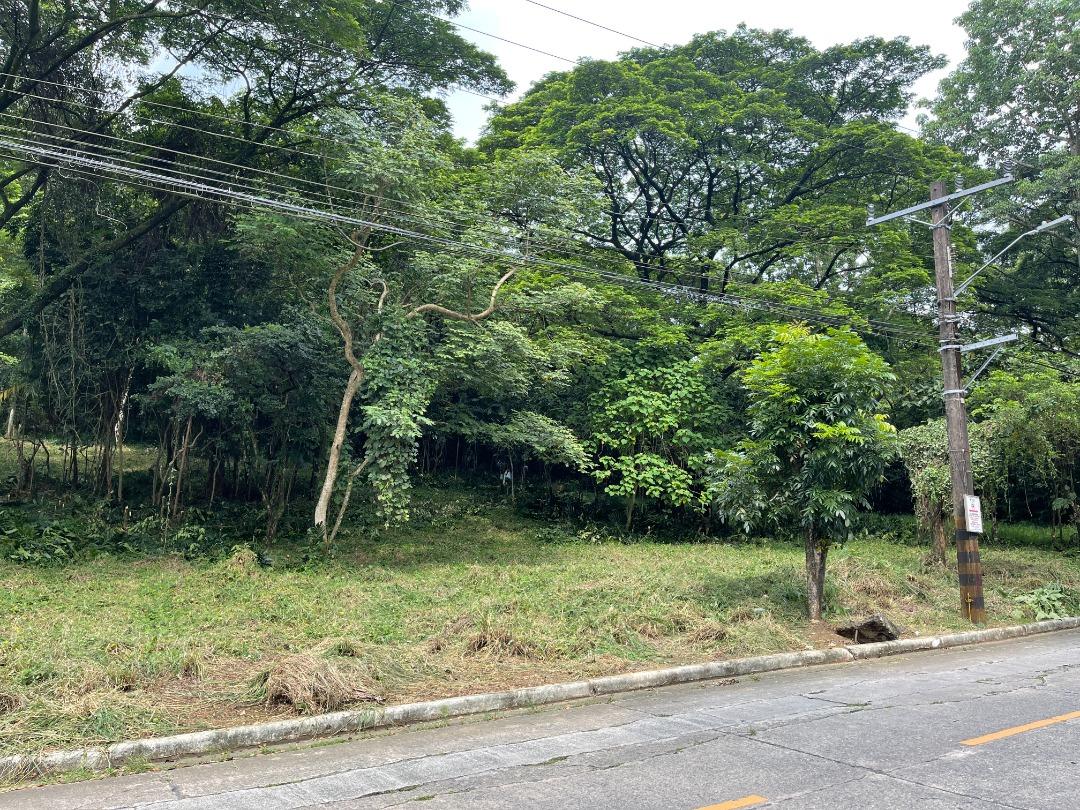 JTO FOR SALE Vacant Lot in Valley Golf Subdivision, Antipolo