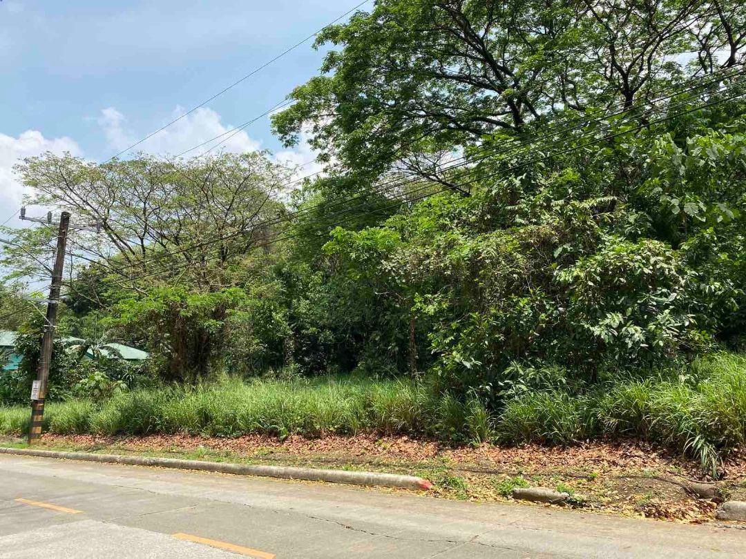 JTO FOR SALE Vacant Lot in Valley Golf Subdivision, Antipolo