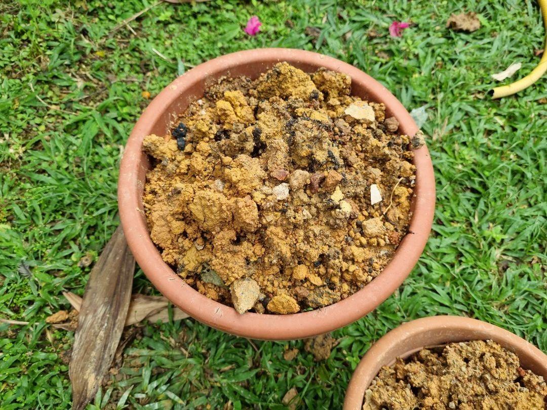 Free clay soil earth (large amount), Furniture & Home Living, Gardening
