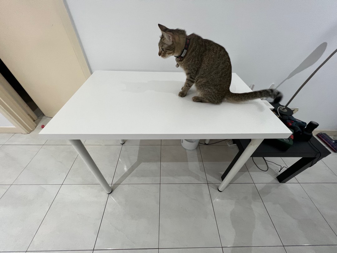 Ikea Linnmon Table, Furniture & Home Living, Furniture, Tables & Sets ...