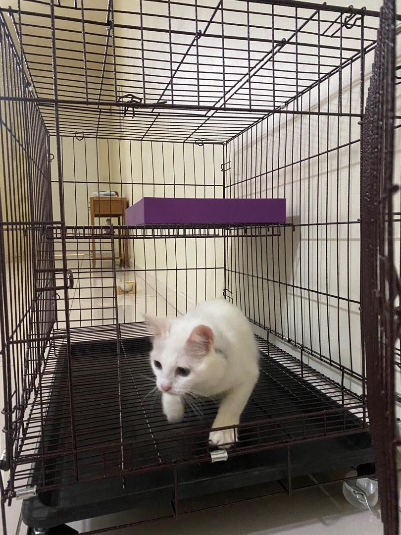 2nd hand cat best sale cage for sale