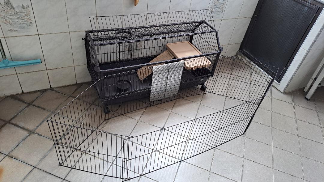 Oxbow guinea deals pig cage