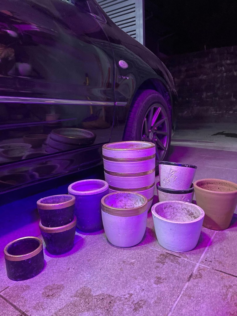 SET Plant Pots (take all), Furniture & Home Living, Gardening