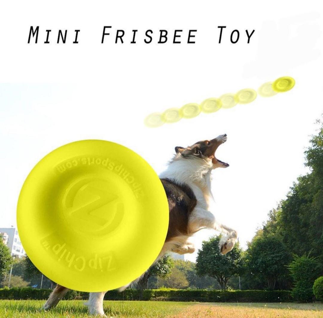 Mini dog frisbee online