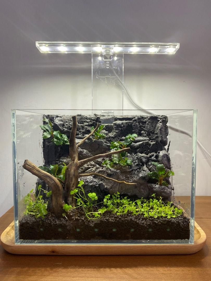 x12x15cm 小型桌面水草魚缸 全套連造景 Led燈 過濾器 小營養液 吸水管等4件工具 Aquascape Nano Fish Tank 生態缸自然缸草缸風水缸擺設懶人魚缸可養魚蝦
