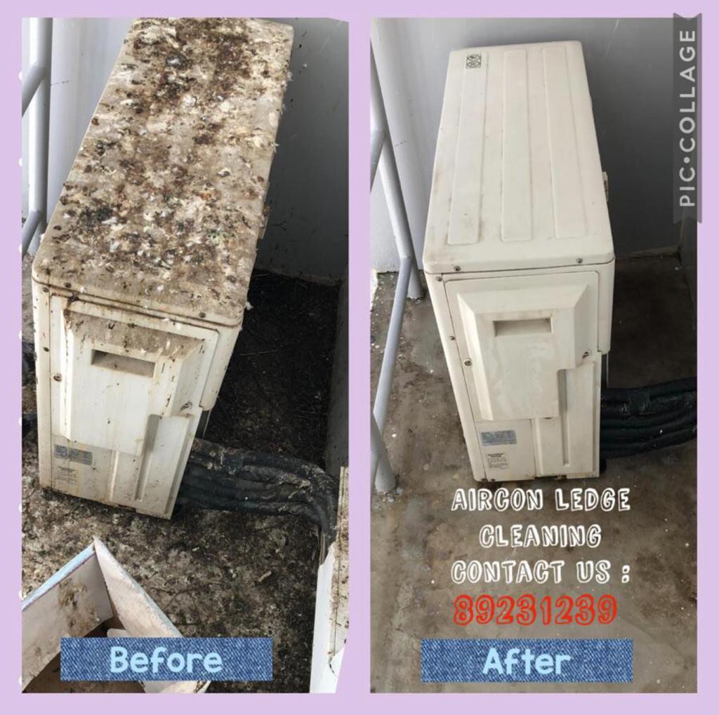 (Category: ) located in . Submitted by renewcleaning89231239 (Listing ID 1005179674, Image 1). Description: .