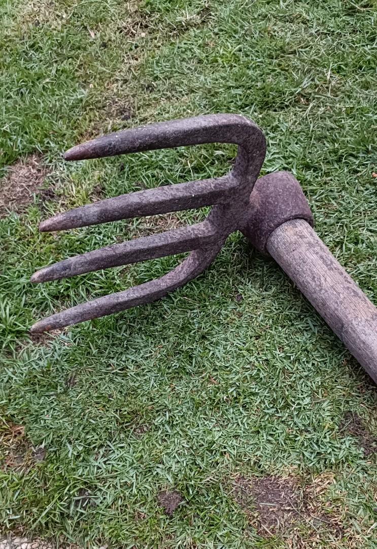 Antique Iron Fork Head Digger with 5 feet long heavy solid wood handle