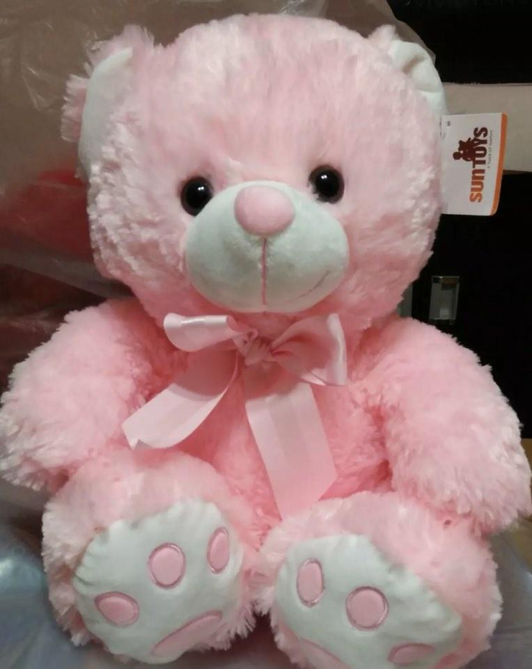 teddy bear puppy breeders near me