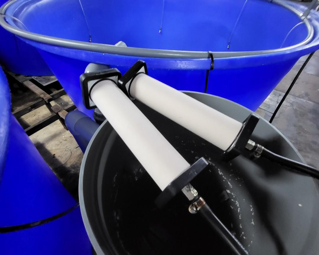 Ceramic Oxygen diffusers Korea Pet Supplies Homes Other Pet