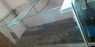 (Category: ) located in . Submitted by pechetti2456 (Listing ID 1182013024, Image 1). Description: .