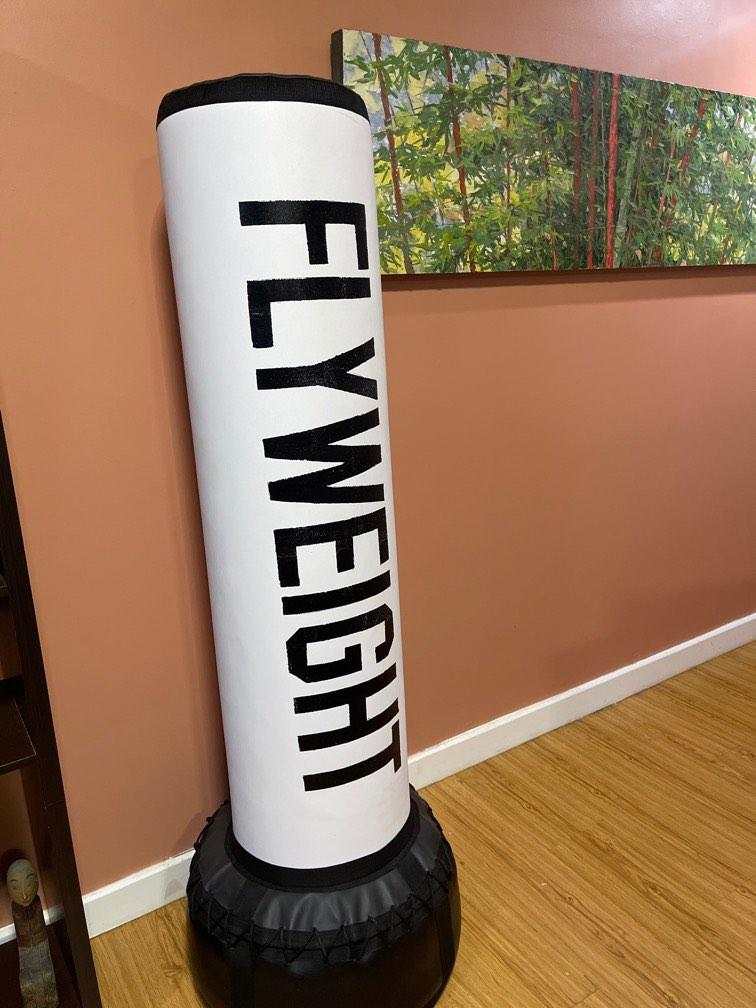 Free Standing Punching Bag, Sports Equipment, Exercise & Fitness