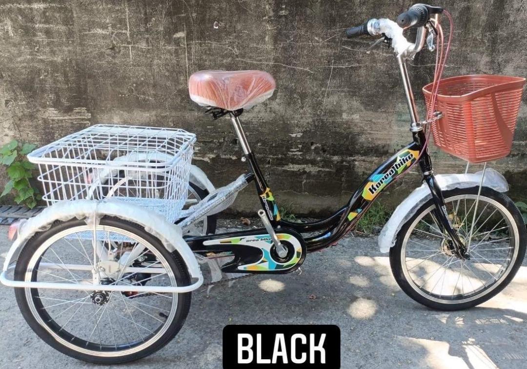 KOREAN 3 WHEELS BIKE/TRI-BIKE 1x7 WITH SHIMANO SHIFTER LADY BIKE ...