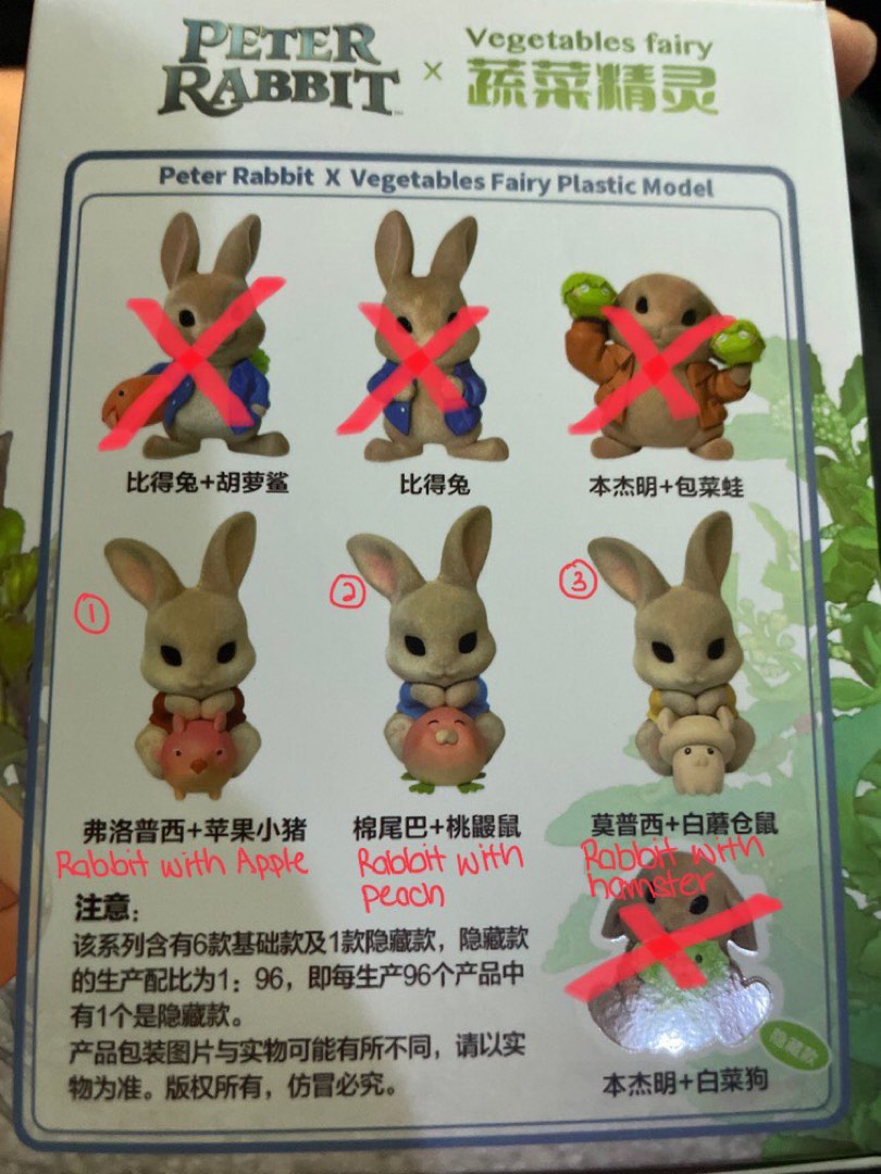 Peter Rabbit x Vegetable Fairy, Hobbies & Toys, Toys & Games on Carousell